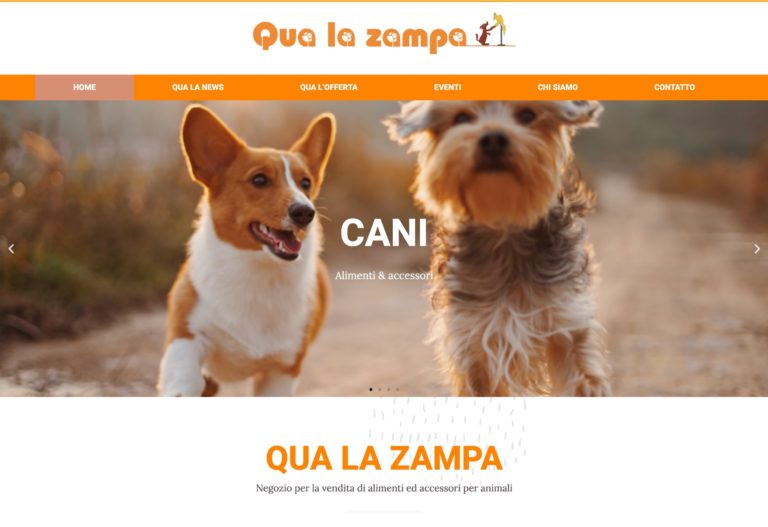 Web Designer Biasca