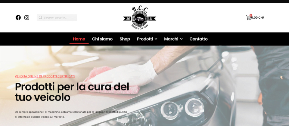 web design shop online