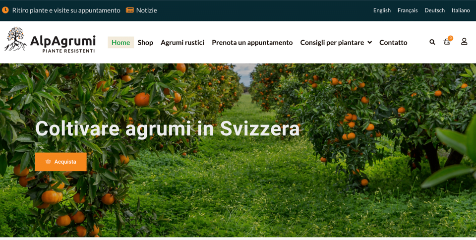 ecommerce siti aziendali