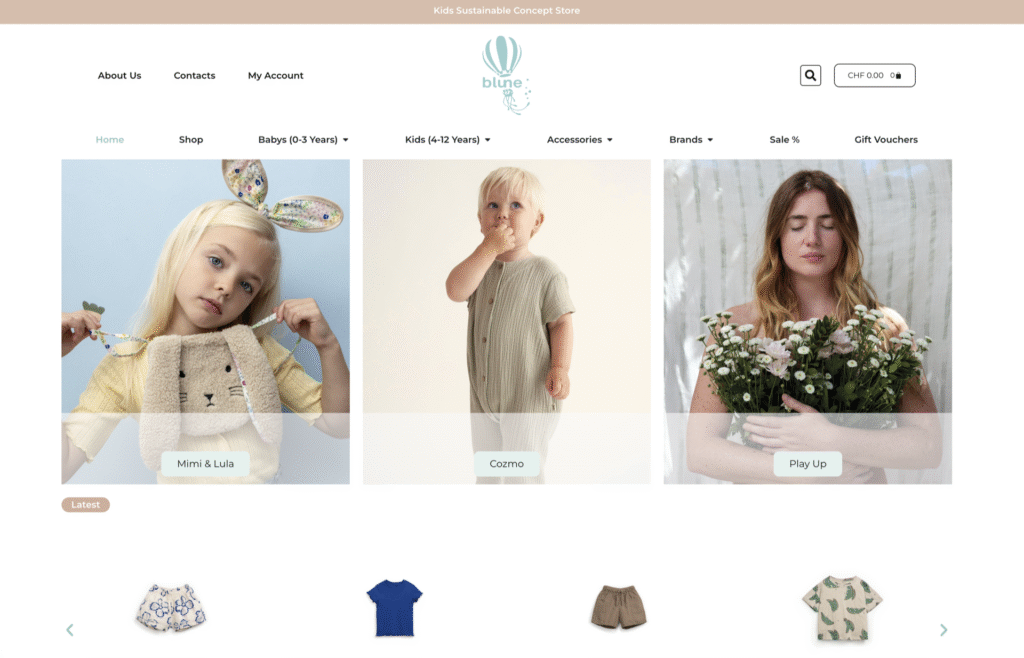web design ecommerce locarno per negozi