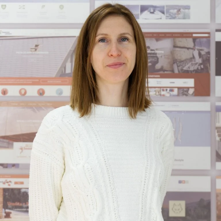 Agenzia di Marketing,Sviluppo Siti Internet Locarno Ticino