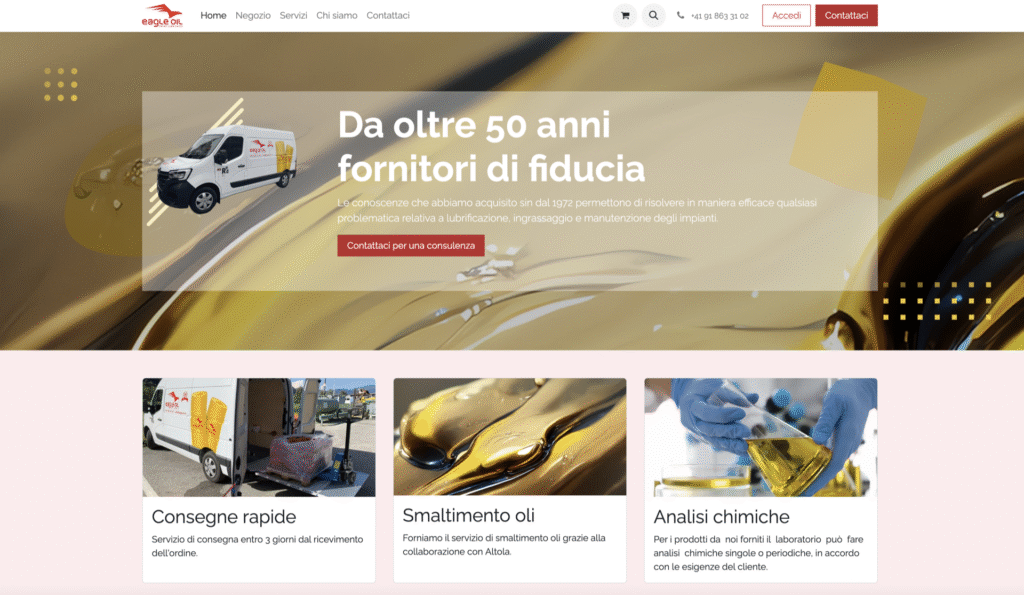 web design ecommerce ticino