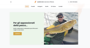 web design negozio locarno