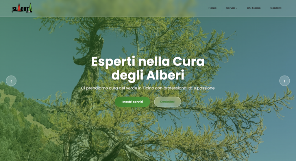 web design cura degli alberi